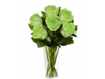 Green Royal - 12 Stems In Vase